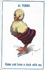 Old comic duck for sale  WORTHING