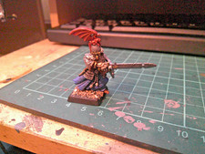 Grave guard champion for sale  EASTBOURNE