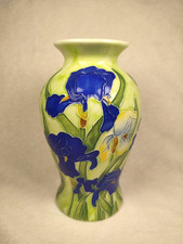 Benaya blue iris for sale  UK