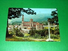 Cartolina selvaggio giaveno usato  Vimodrone