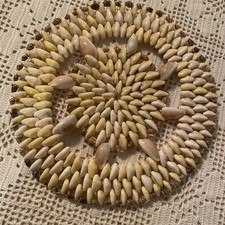 Vintage trivet puka for sale  Farmington