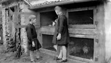Ferme enfants clapiers d'occasion  Nancy-