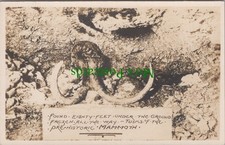 History postcard frozen for sale  WATERLOOVILLE