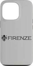 Bandiera firenze italia usato  Roma