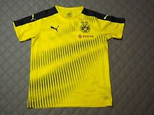 Bvb borussia dortmund gebraucht kaufen  Bockhorn