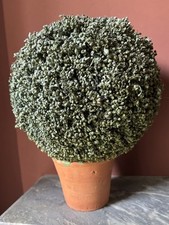 Faux topiary ball for sale  BELFAST