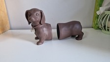 Dachshund sausage dog for sale  FARNBOROUGH