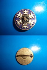 Distintivo spilla rilievo usato  Solferino