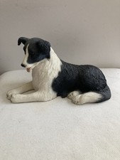 Leonardo border collie for sale  SHANKLIN