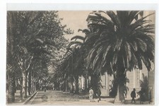 Córsega, Ajaccio, Avenue Of 1ER Consul comprar usado  Enviando para Brazil