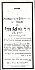 Sterbebild hedwig pfest gebraucht kaufen  Singen (Hohentwiel)