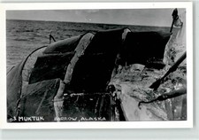 52176217 walfang wale gebraucht kaufen 52176217 walfang wale gebraucht kaufen  Eimeldingen