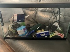aquarium fish tanks for sale aquarium fish tanks for sale CWMBRAN