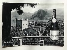 Moscato dei colli usato  Torino