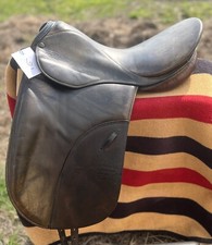 Stubben romanus dressage for sale  Cape Vincent