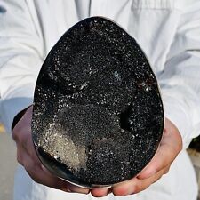 2.99lb natural turtle for sale  Burlington
