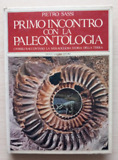 Primo incontro con usato  Moncalieri