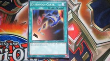 Distruggi carte ygld usato  Santa Sofia
