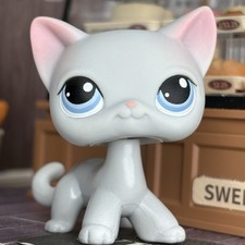 Lps littlest pet for sale  Tampa