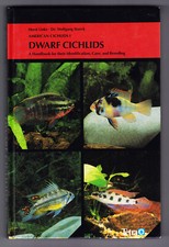 American cichlids dwarf for sale  CHEADLE