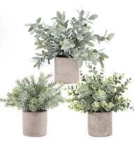 Der rose pack for sale  Benton
