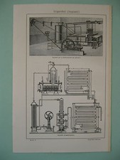 Stampa antica old usato  Velletri