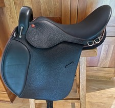 Lovatt rictetts arabian for sale  Signal Mountain
