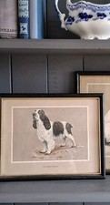 Framed dog print for sale  CARRICKFERGUS