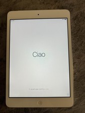 Ipad mini usato  Capannori