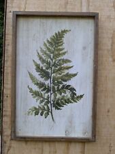Fern wood picture for sale  Welch