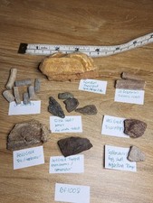 Great fossil collection for sale  SOLIHULL