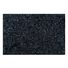 Musiclily black pearl gebraucht kaufen  Langenlonsheim