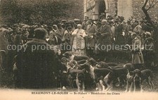 Beaumont roger saint gebraucht kaufen  Deutschland