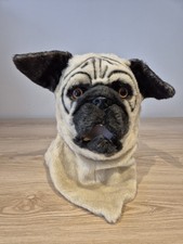 Furry mask pug for sale  PERSHORE