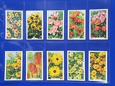 Gallaher cigarette cards for sale  DAGENHAM