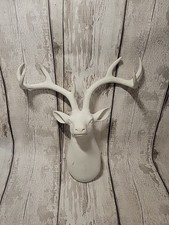 White buck head for sale  Akron