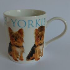 Yorkie yorkshire terrier for sale  BEWDLEY