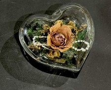 Rosas preservadas vintage em vidro transparente lembrança coração decoração floral namorados comprar usado  Enviando para Brazil