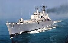 Royal navy type for sale  WATERLOOVILLE