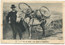 Cc75 cartolina delle usato  Fontanellato