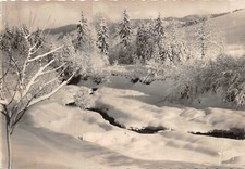 Cpsm morzine sapin d'occasion  Rioz