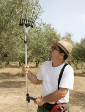 Testa abbacchiatore universale usato Testa abbacchiatore universale usato  Pompei