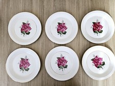 Assiettes plates moulin d'occasion  Saint-Omer