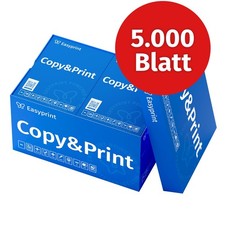 Druckerpapier kopierpapier 500 gebraucht kaufen  Radebeul