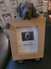 Chocolate lab desk for sale  Middletown