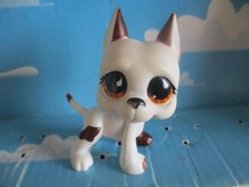Petshop argentine dog d'occasion  Expédié en Belgium