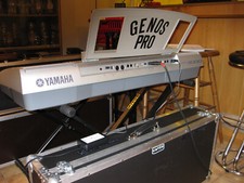 Yamaha keyboard psr gebraucht kaufen  Schwabach