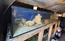 Fish tanks for sale  REDDITCH