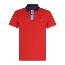 Harmont blaine polo usato  Noicattaro