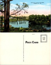 Usado, Cartão postal artificial Lake City Park Aurora Illinois IL comprar usado  Enviando para Brazil